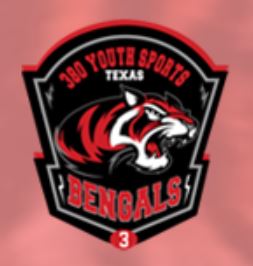 380 Youth Sports logo